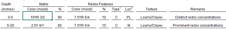 Soil profile diagram showing hydric soil indicators F6 Redox Dark Surface and F3 Depleted Matrix with Munsell color notation for wetland delineation documentation